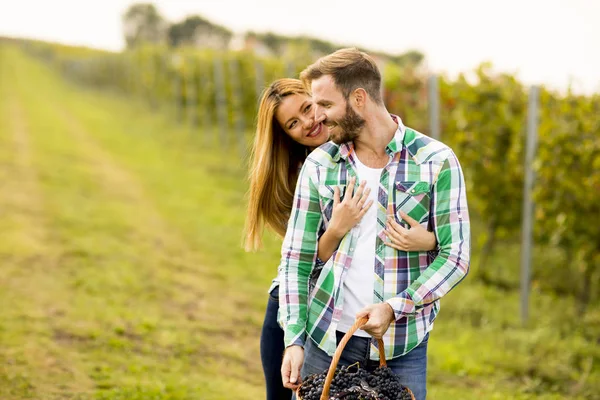 Jeune couple dans un vignoble — Photo