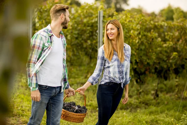 Junges Paar in einem Weinberg — Stockfoto