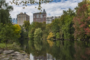 Central park ve manhattan skyline