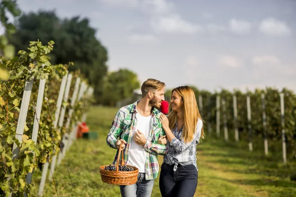 Mladý pár ve vinici — Stock fotografie