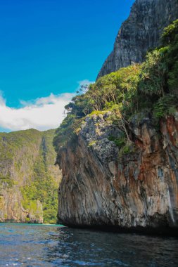 Ko Phi Phi Lee Adaları Güney Tayland