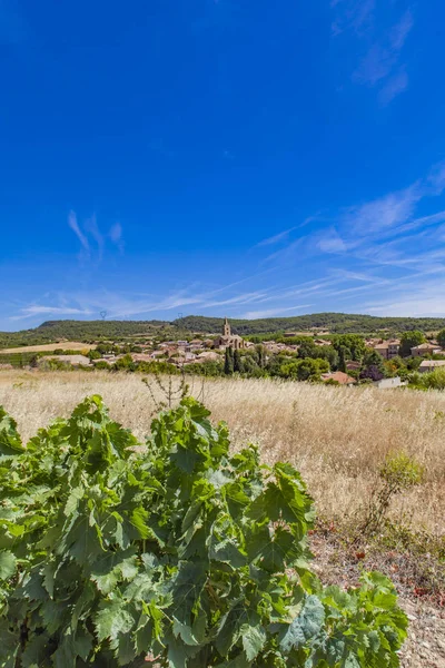 Languedoc-Roussillon province in France — Stok fotoğraf