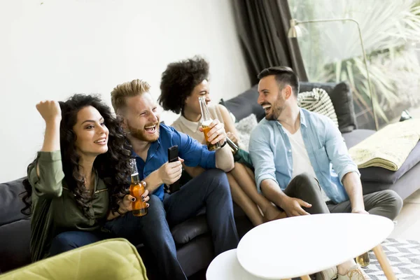 Grupp vänner titta på Tv, dricka cider och ha roligt — Stockfoto