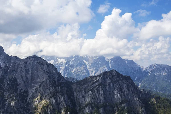 Mountain Pokljuka i Slovenien — Stockfoto