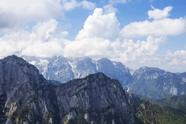 Mountain Pokljuka i Slovenien — Stockfoto