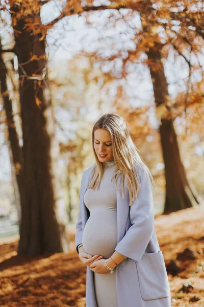 Mooie zwangere vrouw — Stockfoto