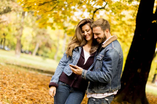 Happy couple watching a smart phone and standing in autumn park — Stock Photo, Image