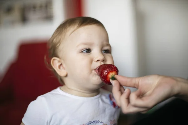 Retrato de niña come fresa — Foto de Stock