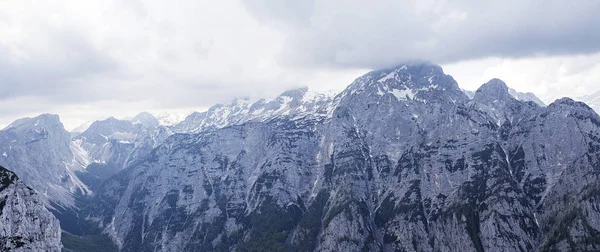 Mountain Pokljuka i Slovenien — Stockfoto