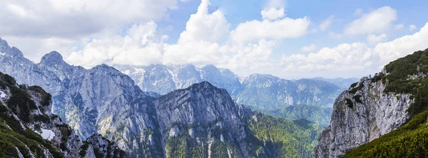 Montagne Pokljuka en Slovénie — Photo