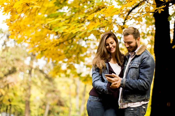 Couple watching a smart phone and standing in autumn park — Stock Photo, Image