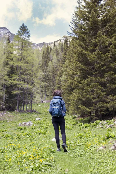 Jovem mulher caminhadas nas montanhas — Fotografia de Stock