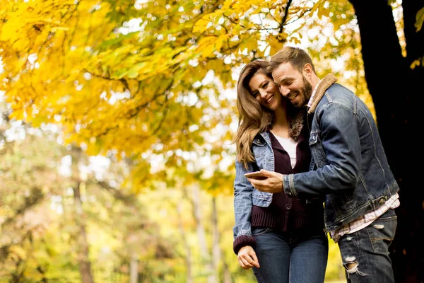Щаслива пара дивиться смартфон і стоїть в осінньому парку — стокове фото