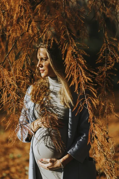 Zwangere vrouw in de herfst park — Stockfoto