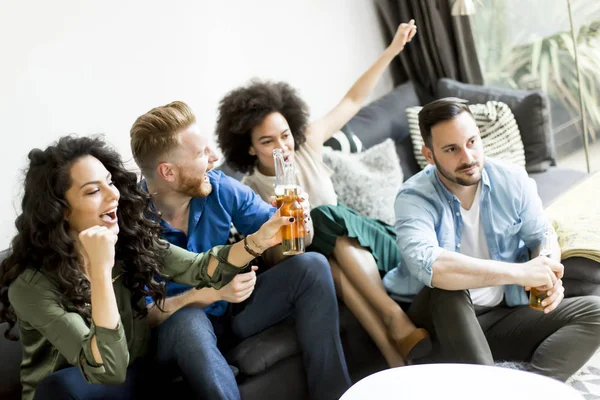 TV izlerken, elma şarabı içme arkadaş