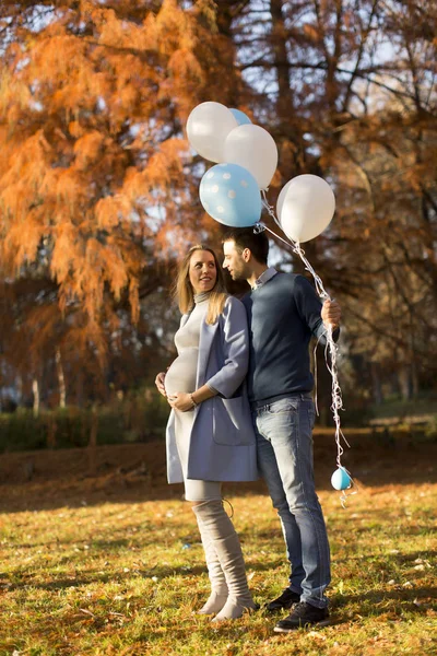 Paar erwartet Baby im Park — Stockfoto