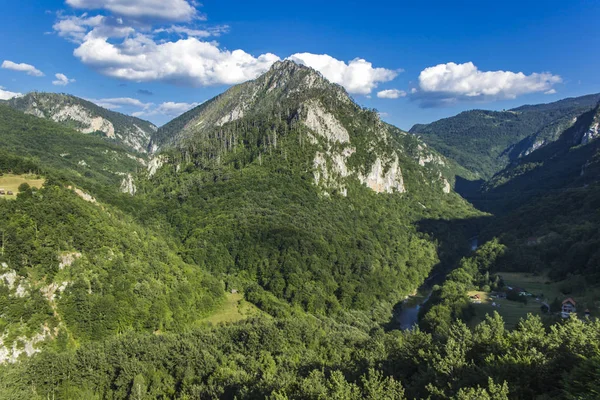 Kaňon Tara v Černé hoře — Stock fotografie