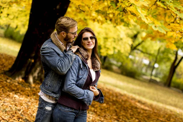 Casal amoroso no parque de outono — Fotografia de Stock