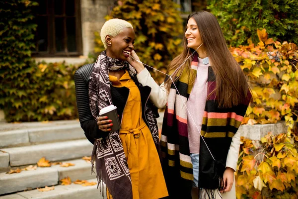 Two young pretty multiracial girlfriends at autumn day — Stock Photo, Image