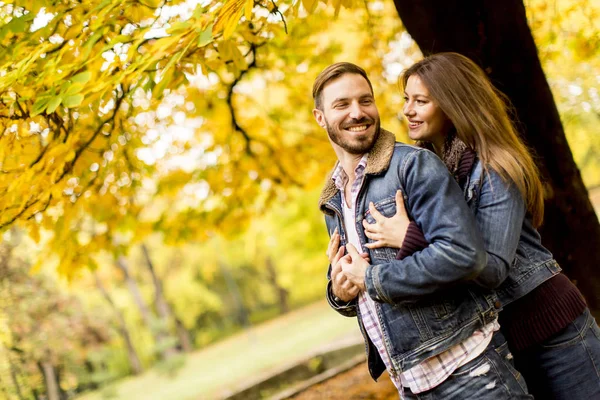 Jovem casal amoroso no parque de outono — Fotografia de Stock