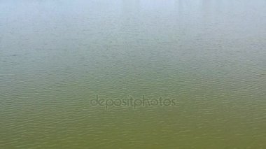 Tisa Nehri yakınında Curug Sırbistan, havadan görünümü