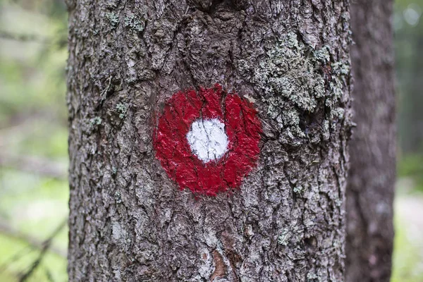 Red and white circle trail blazing sign
