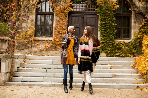 Unga multiracial vänner gå runt hösten park, talar en — Stockfoto