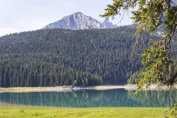 Svarta sjön på durmitor berg i montenegro — Stockfoto