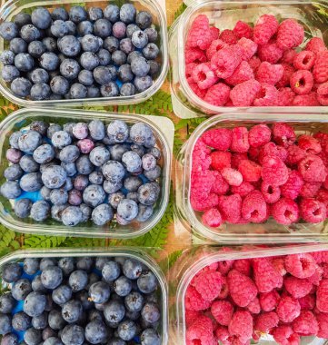 Ahududu ve piyasadaki yaban mersini