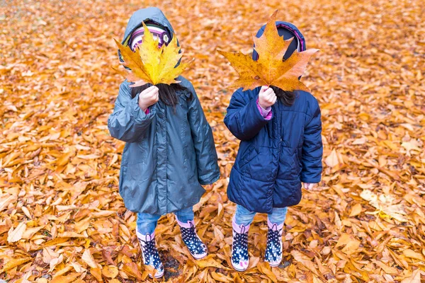 Bambine con un volto nascosto con foglie d'acero — Foto Stock