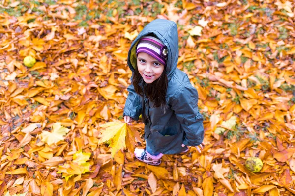 秋のオレンジの小さな女の子が公園で葉します。 — ストック写真