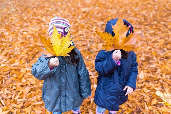 Petites filles avec une face cachée avec des feuilles d'érable — Photo