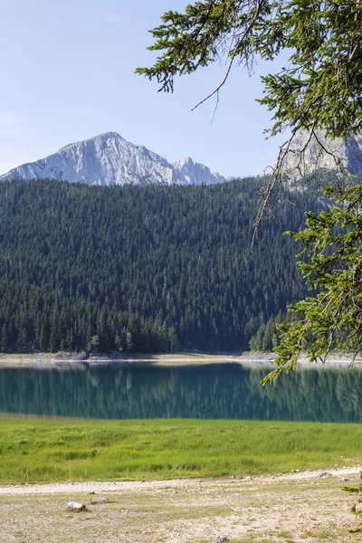 Svarta sjön på durmitor berg i montenegro — Stockfoto