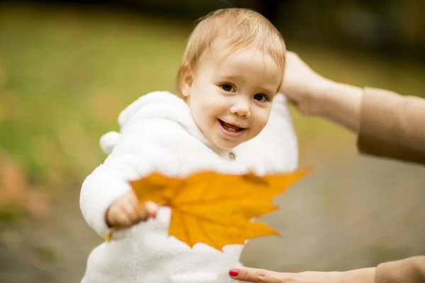 Little girl holding leaf — Stock Photo, Image