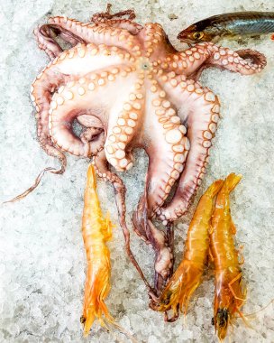 Ahtapot, karides ve balık buz üstünde