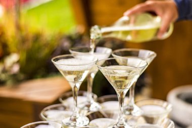 Şampanyayı bardaklara dolduruyorum