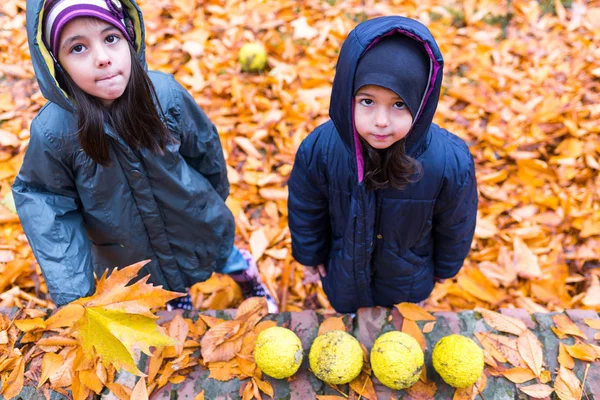 Kleine meisjes in herfst oranje vertrekt park — Stockfoto