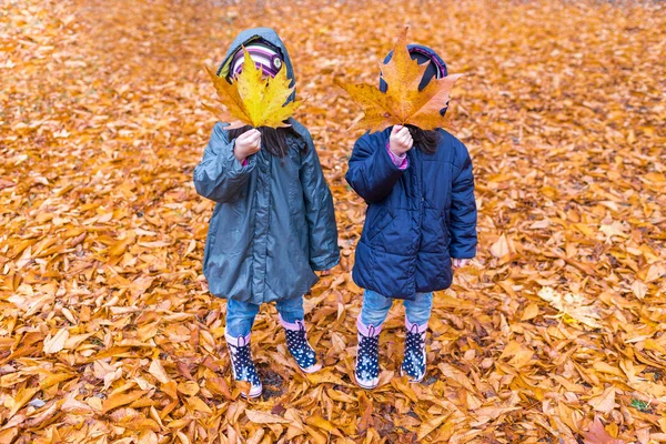 Bambine con un volto nascosto con foglie d'acero — Foto Stock