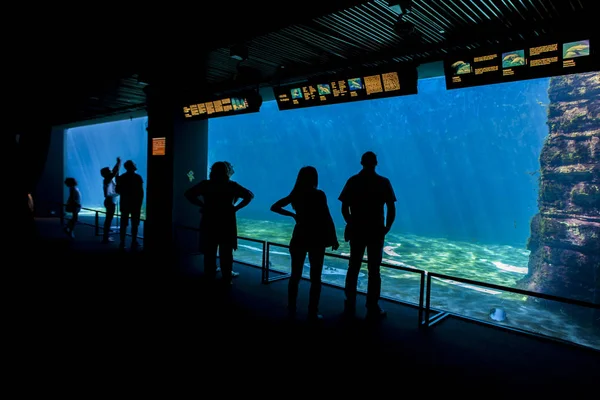 Akvariet i Genua, Italien — Stockfoto