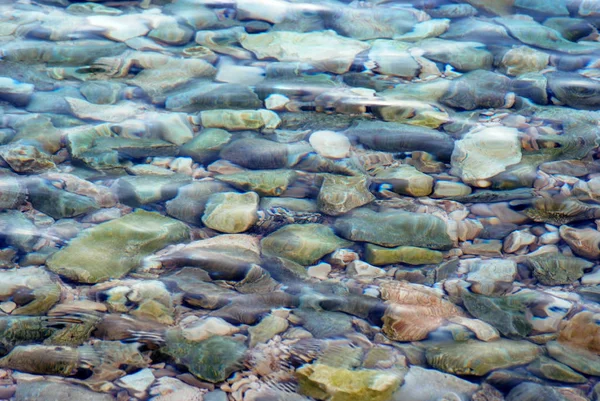 Πέτρες στο θαλασσινό νερό — Φωτογραφία Αρχείου