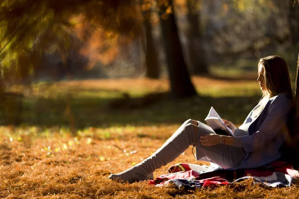 Mujer embarazada sentada bajo el árbol en el parque de otoño y leyendo —  Fotos de Stock