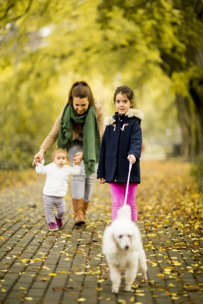 Moeder en meisjes lopen met een hond — Stockfoto