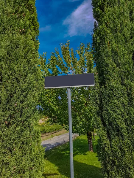 Empty sign in vineyard in Italy Stock Picture