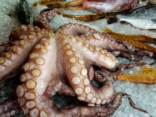 buz üstünde taze ahtapot