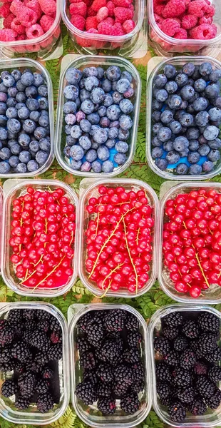 Hallon, krusbär och blåbär på marknaden — Stockfoto