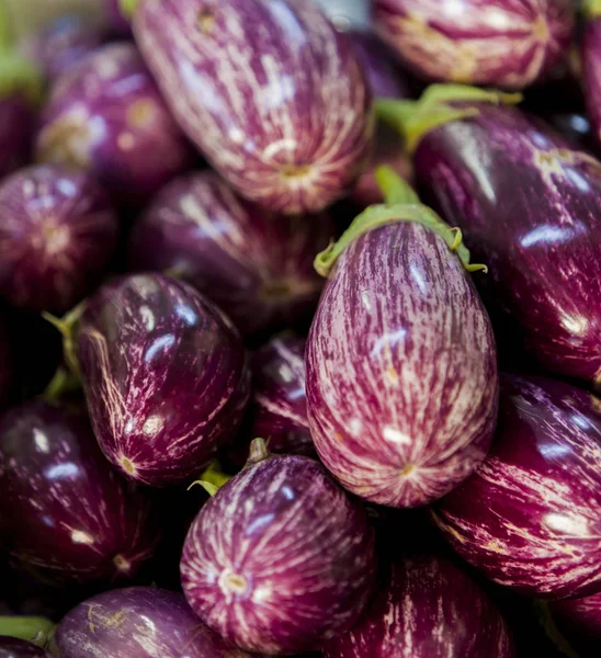 Colorful fresh eggplants — Stock Photo, Image