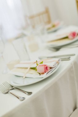 Şık düğün dekorasyon. Pembe gül üzerinde odaklanmak