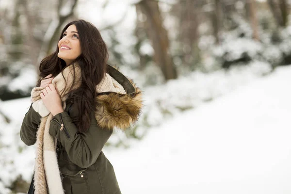 Csinos, fiatal nő, egy téli napon — Stock Fotó
