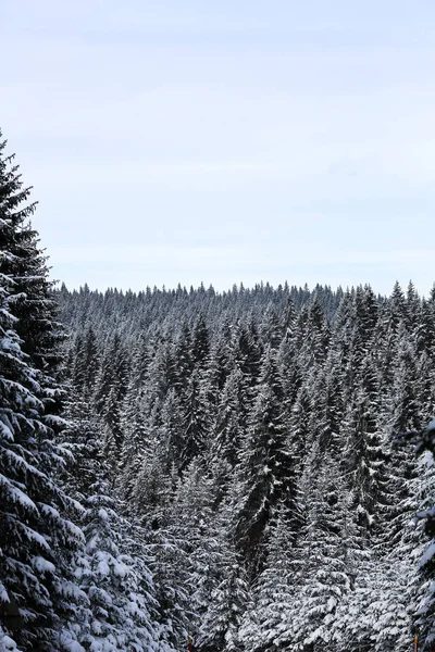 Día de invierno en las montañas —  Fotos de Stock