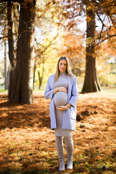 Jonge zwangere vrouw in de herfst park — Stockfoto